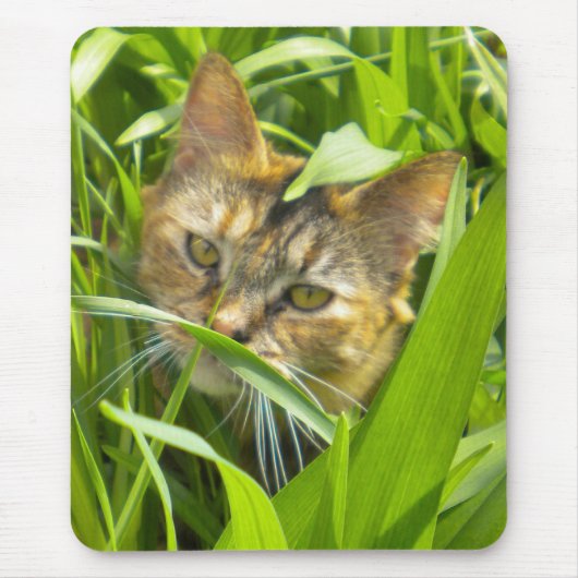 Muismat van Kat van edele Oerwouden (Voorkant)