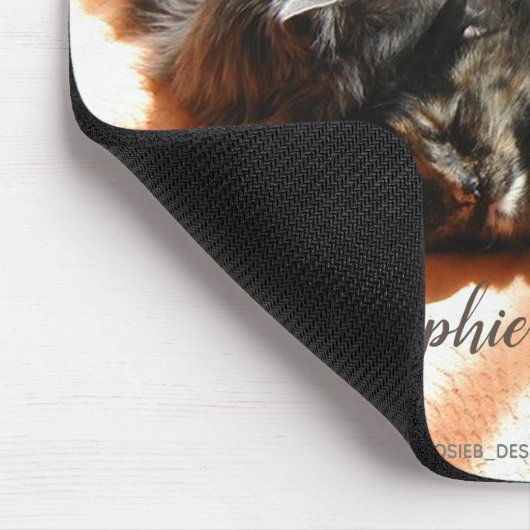 Muismat van katten (Hoek)