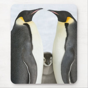 Muismat van keizer Penguins