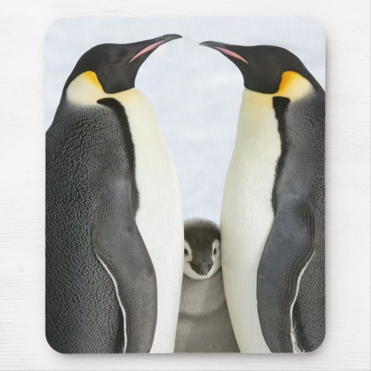 Muismat van keizer Penguins (Voorkant)