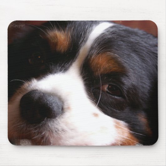Muismat van King Charles Cavalier Spaniel (Voorkant)