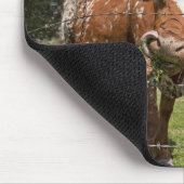 Muismat van lange paarden (Hoek)