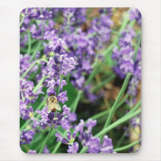 Muismat van Lavender en Honeybee (Voorkant)