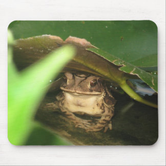 Muismat van Little Toad Frog