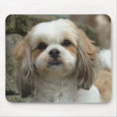 Muismat van ovens (Voorkant)