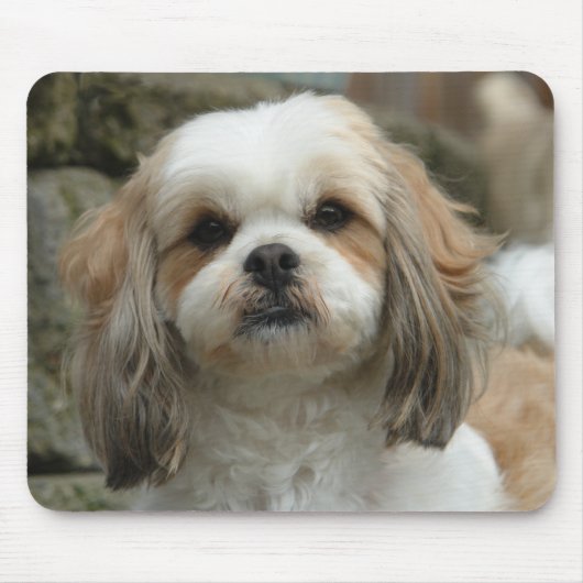 Muismat van ovens (Voorkant)