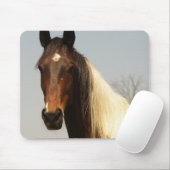 Muismat van verf-paarden (Met muis)