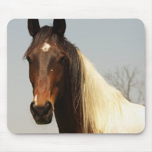 Muismat van verf-paarden (Voorkant)