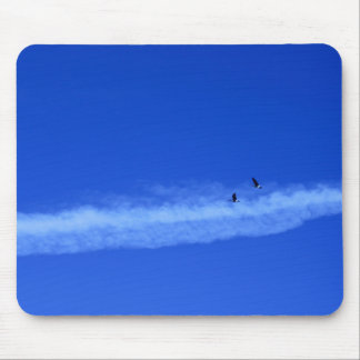 Muismat van vliegende ganzen