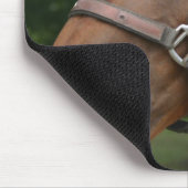 Muismat van zoete kastanjepaarden (Hoek)