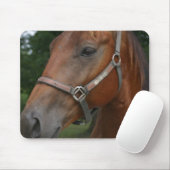Muismat van zoete kastanjepaarden (Met muis)