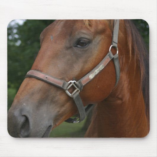 Muismat van zoete kastanjepaarden (Voorkant)