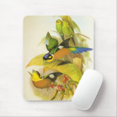 Muismat Vintage Langstaartbreedbektimalia (Met muis)