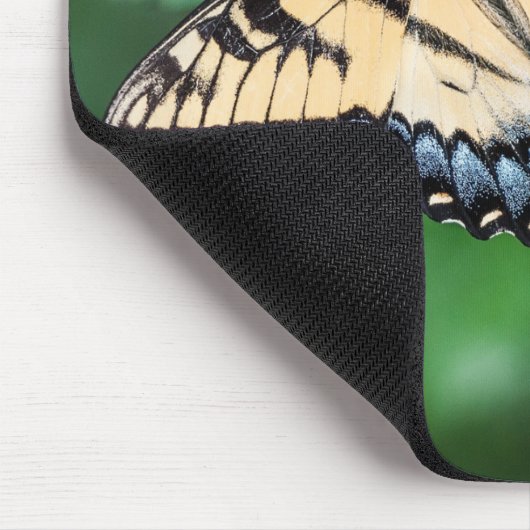 Muismat vlinder (Hoek)