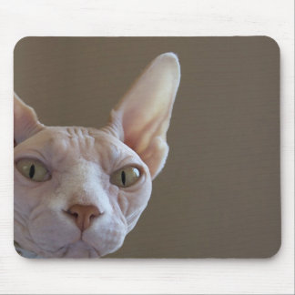 Muismat voor haarloze katten
