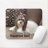 Muismat voor Havanse Hondenliefhebbers: Havanese D (Met muis)