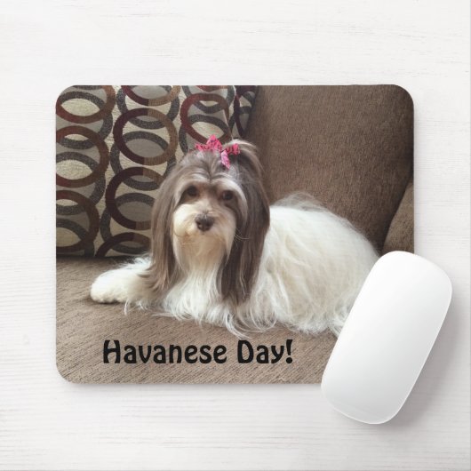 Muismat voor Havanse Hondenliefhebbers: Havanese D (Met muis)