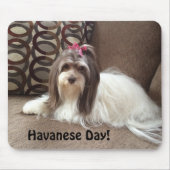 Muismat voor Havanse Hondenliefhebbers: Havanese D (Voorkant)