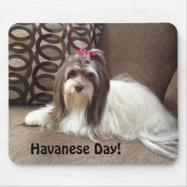 Muismat voor Havanse Hondenliefhebbers: Havanese D