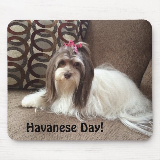 Muismat voor Havanse Hondenliefhebbers: Havanese D (Voorkant)