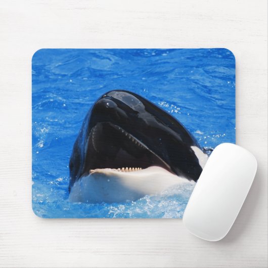 Muismat walvisgeluiden (Met muis)