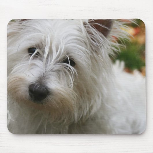Muismat West Highland Terrier (Voorkant)