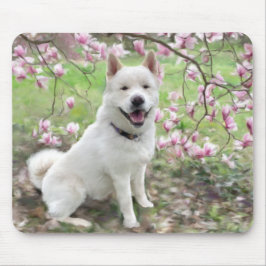Muismat - White Akita