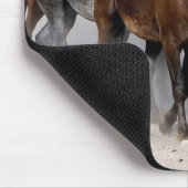 Muismat wild mosterd uit Nevada (Hoek)