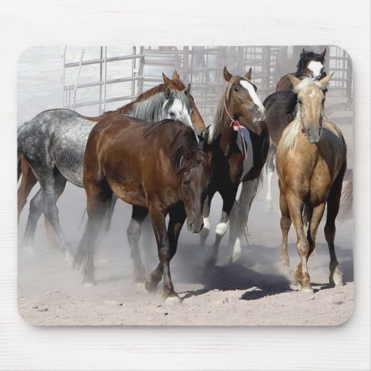 Muismat wild mosterd uit Nevada (Voorkant)