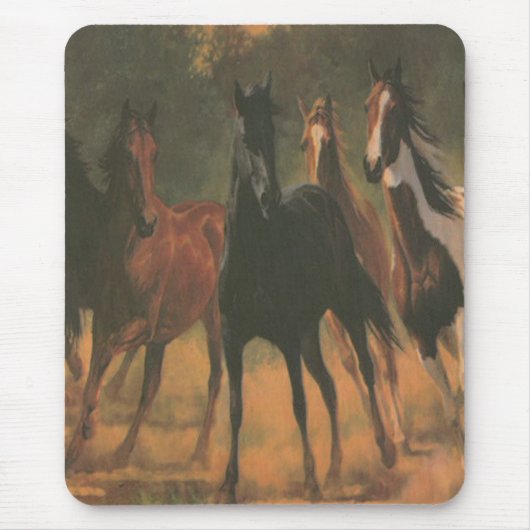 Muismat wilde paarden (Voorkant)