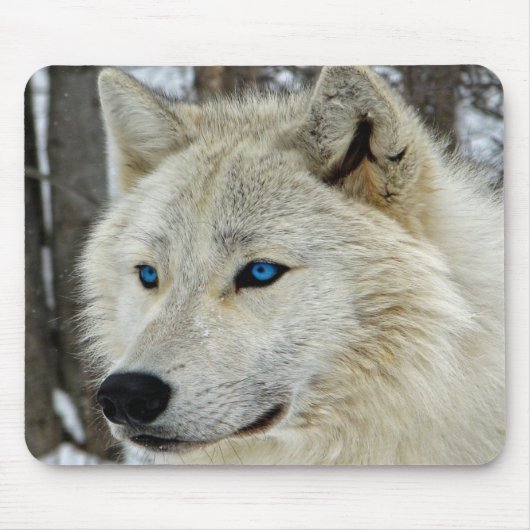 Muismat witte blauwe rode sneeuw Arctic Wolf (Voorkant)