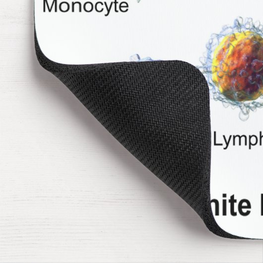 Muismat Witte bloedcellen Leukocytendiagram (Hoek)