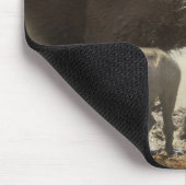 Muismat wrattenzwijn met baby's uit Afrika (Hoek)