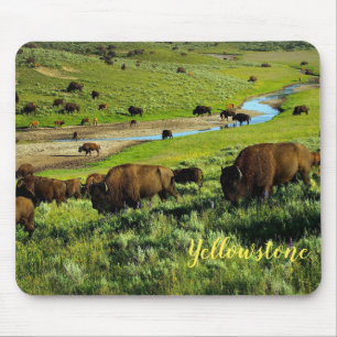 Muismat-Yellowstone Buffalo Muismat