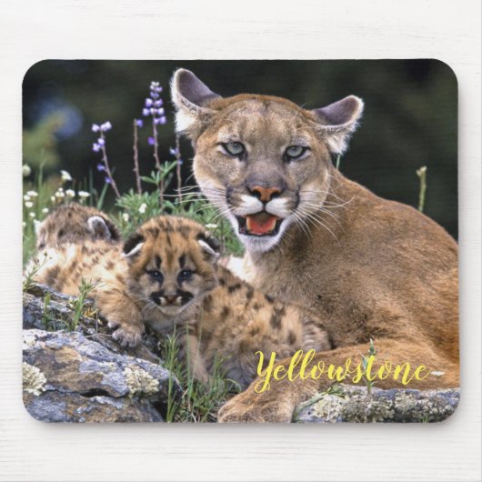 Muismat-Yellowstone Mountain Lion Muismat (Voorkant)