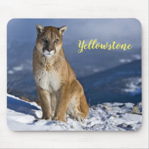 Muismat-Yellowstone Mountain Lion Muismat