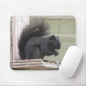 Muismat zwarte eekhoorn (Met muis)