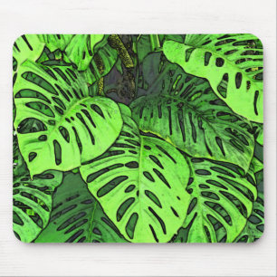 MUISMAT/ "ZWITSERSE KAAS-PLANT" MUISMAT