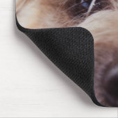 muismatje dicht bij het puppy muismat (Hoek)