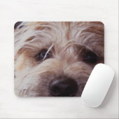 muismatje dicht bij het puppy muismat (Met muis)