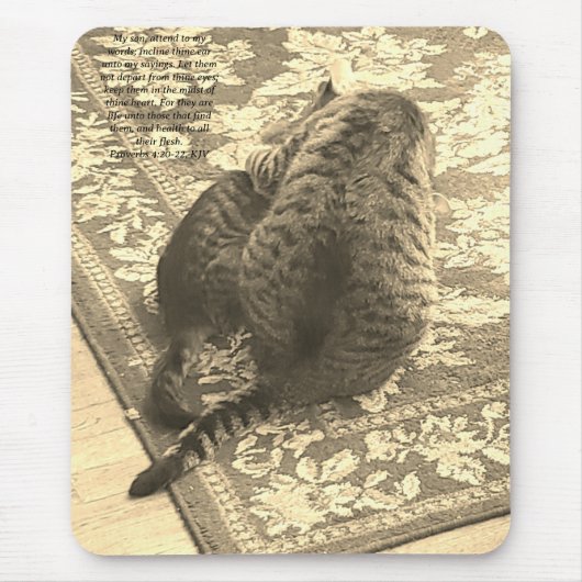 Muismatje Kat Helpt Kitten Muismat (Voorkant)