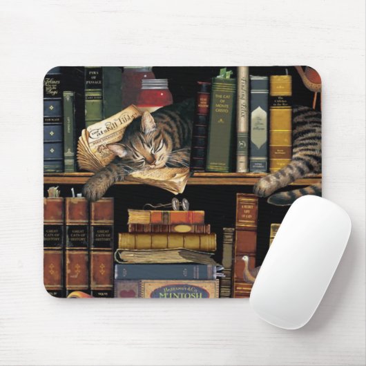 muismatje met een kattenslaap in bibliotheekboeken muismat (Met muis)