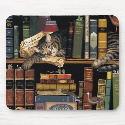 muismatje met een kattenslaap in bibliotheekboeken muismat (Voorkant)