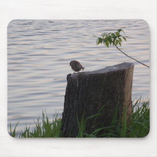 Muismatje met vogel op een Stomp Muismat (Voorkant)