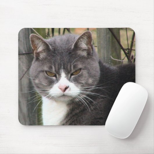 muismatten (Met muis)