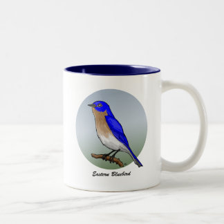 Muismatten en Mokken van de oostelijke Bluebird re