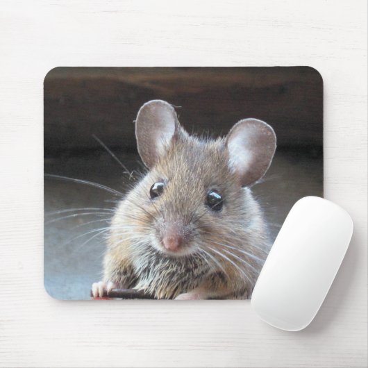 muismousepad muismat (Met muis)