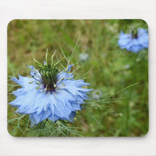 Muismuis met kornbloem muismat (Voorkant)