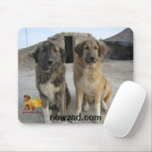 Muismuis van Nowzad Dogs Muismat (Met muis)
