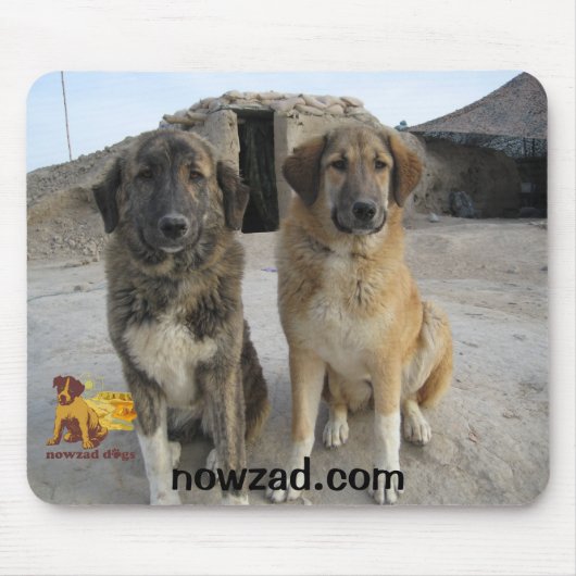 Muismuis van Nowzad Dogs Muismat (Voorkant)